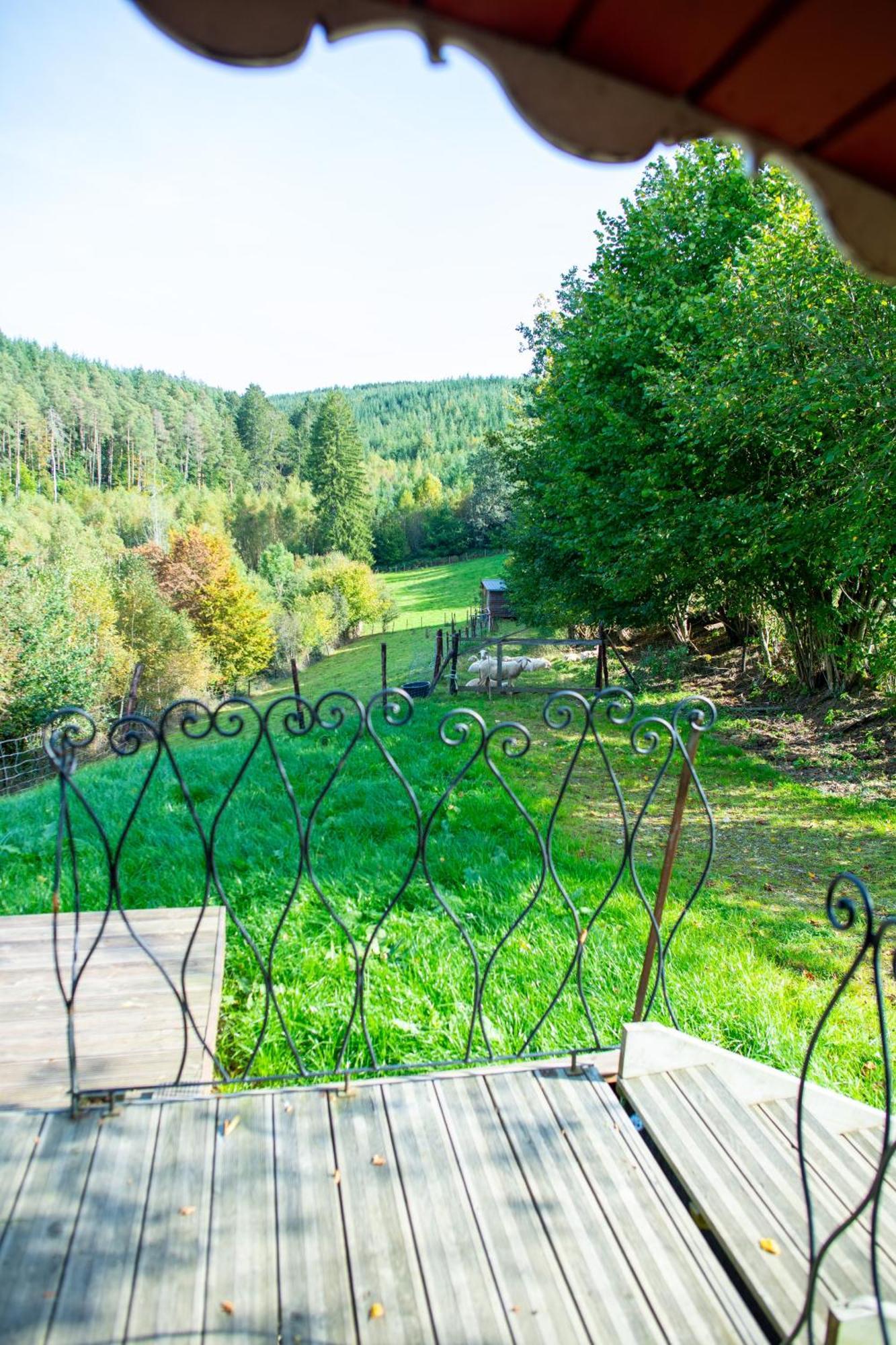La Tiny House De La Bergerie Villa Lierneux ภายนอก รูปภาพ