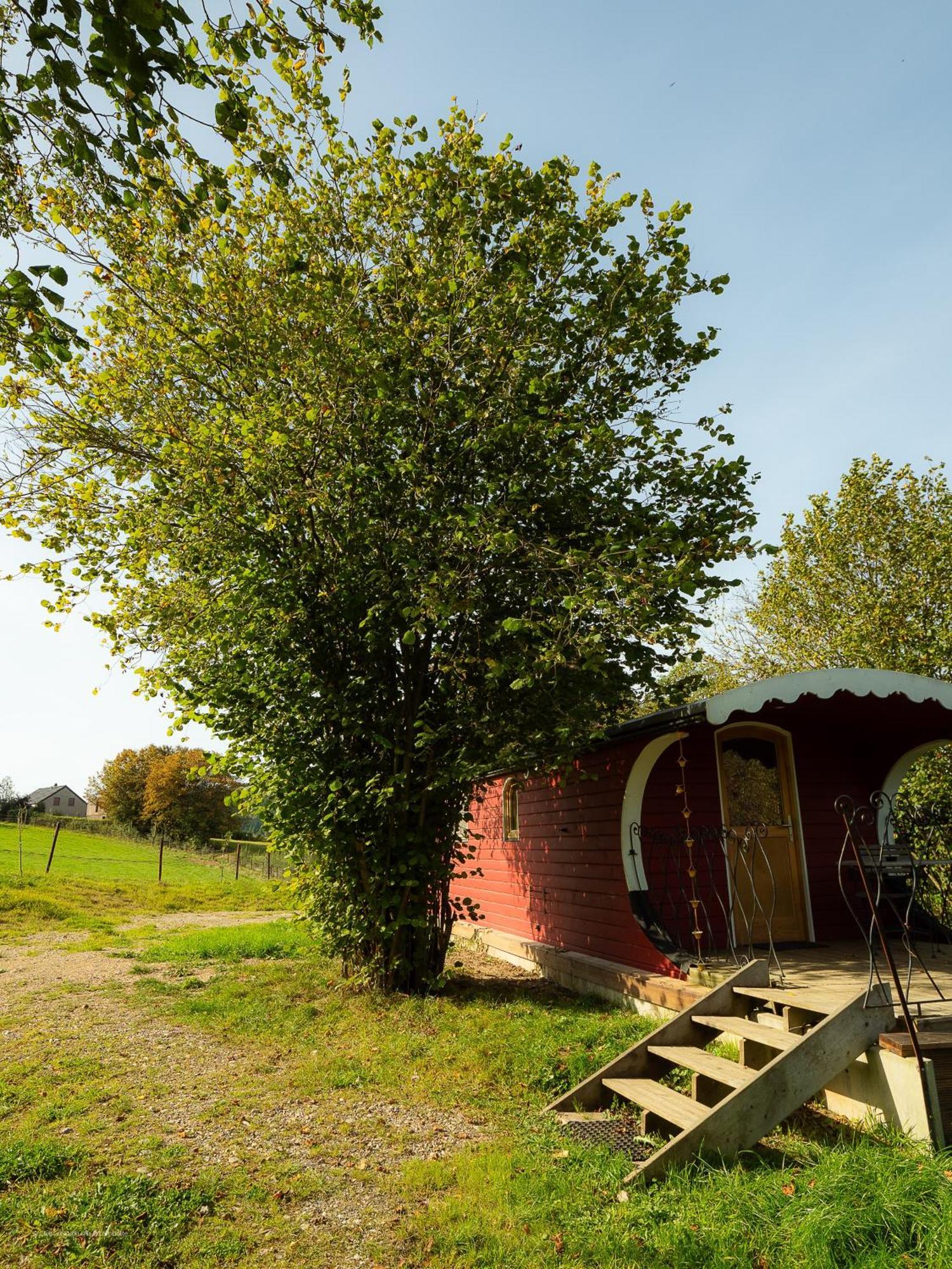 La Tiny House De La Bergerie Villa Lierneux ภายนอก รูปภาพ